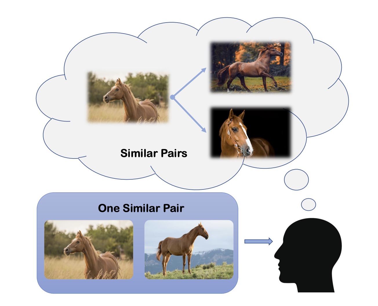 Hallucination Improves Performance in Contrastive Learning